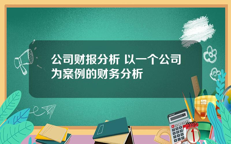 公司财报分析 以一个公司为案例的财务分析